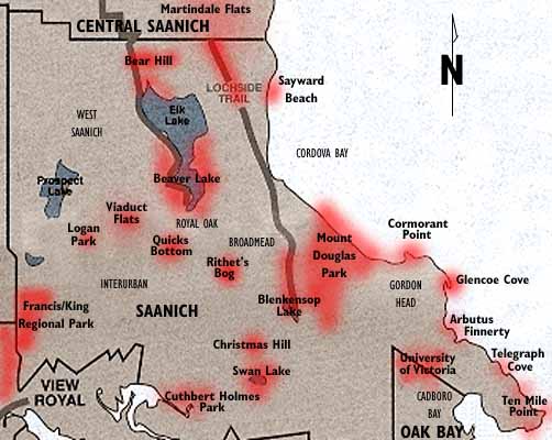 Birding Hotspots in Saanich