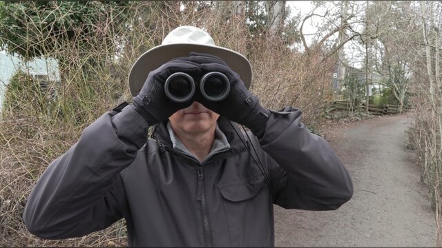 Birders in the field