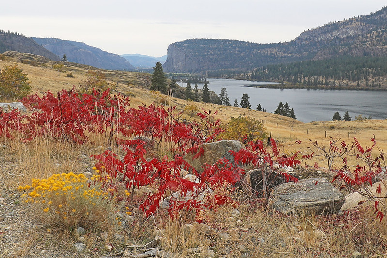 Vaseux Lake, British Columbia
